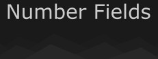 Number Fields